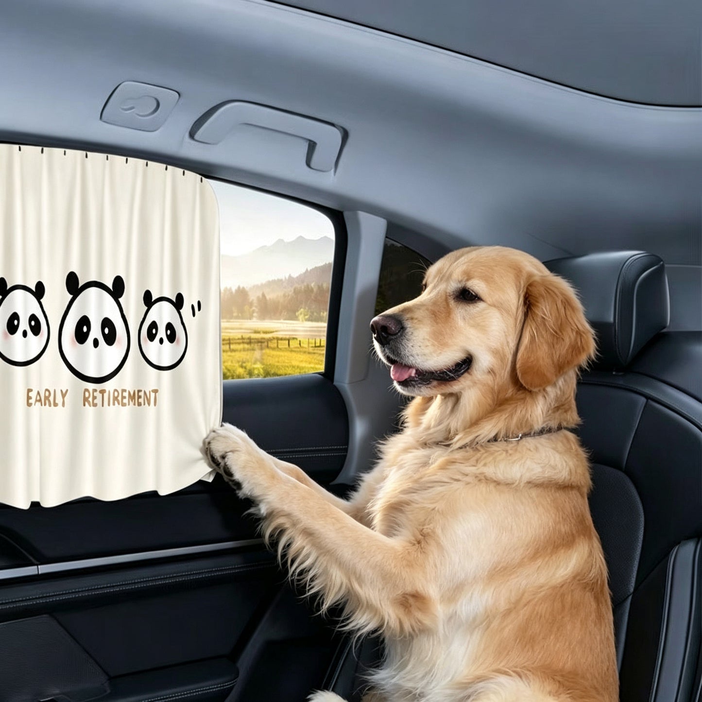 Car window sunshade – track mount design